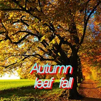 Sergey Grischuk — Autumn Leaf Fall — обложка
